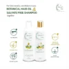 Botanical Hair Oil 200ml and Sulphate-Free Botanical Shampoo combo pack