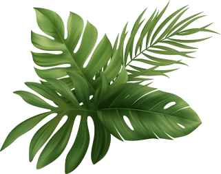 Leaf