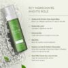Alcohol-Free Face Toner with Hyaluronic Acid | Fights Pimples - Image 3