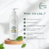 Conditioner for Dry & Damaged Hair | Moisture Lock | 200ml - Image 2