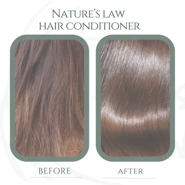 Conditioner for Dry & Damaged Hair | Moisture Lock | 200ml - Image 6