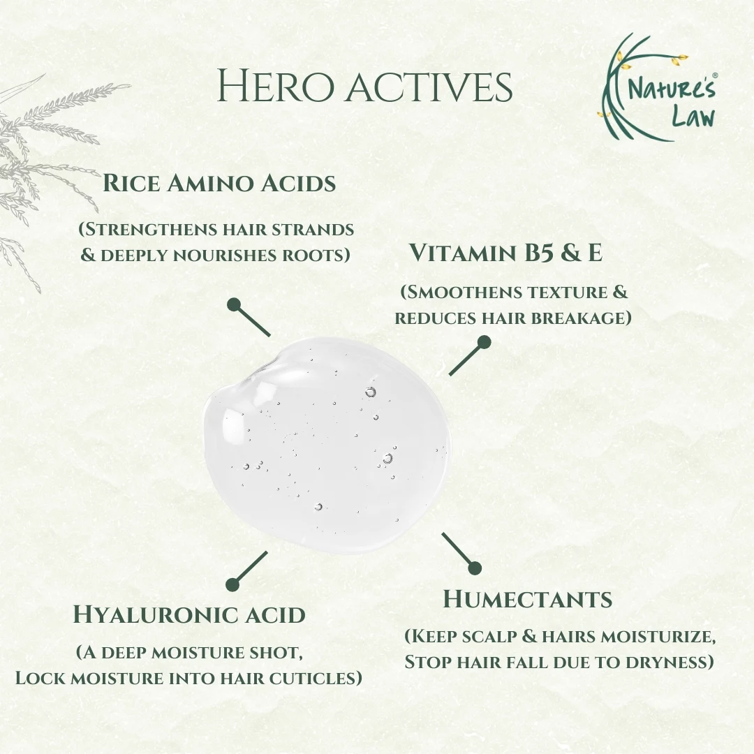 Hair Fall Control Shampoo | Sulphate-Free | Color Safe | 200ml - Image 6