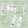Nature’s Law Hair2500 5 -in-1 Gift Combo